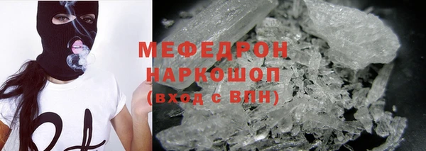 прущие грибы Сясьстрой