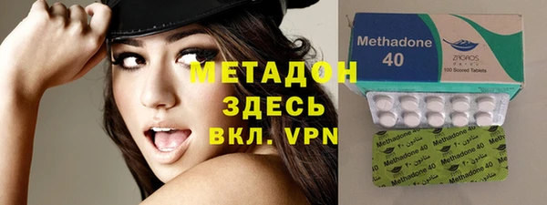 прущие грибы Сясьстрой