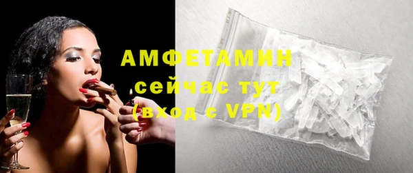 ГАЛЛЮЦИНОГЕННЫЕ ГРИБЫ Ельня