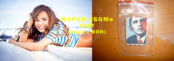 прущие грибы Сясьстрой