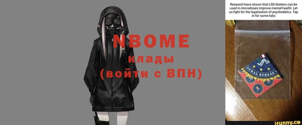 прущие грибы Сясьстрой