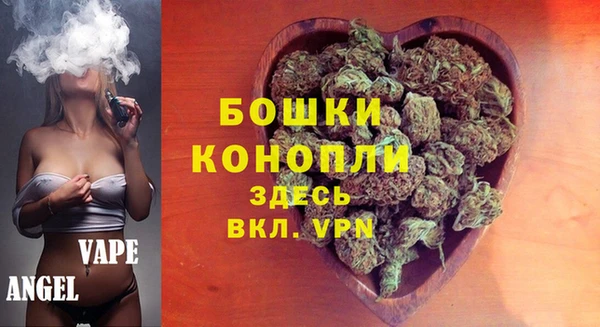 прущие грибы Сясьстрой