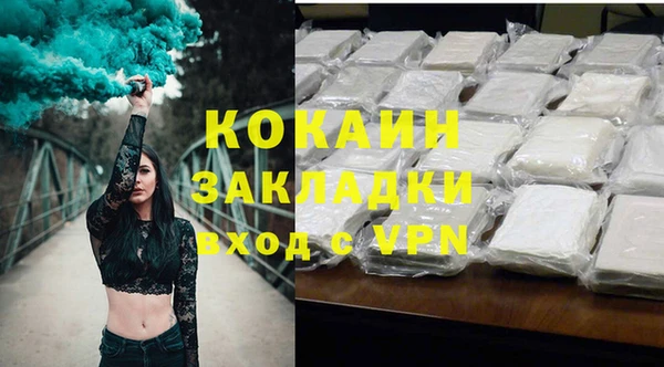 прущие грибы Сясьстрой