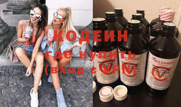ГАЛЛЮЦИНОГЕННЫЕ ГРИБЫ Ельня